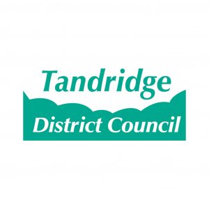 Tanbridge District Council Logo