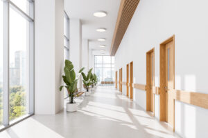 Modern hospital corridor interior with wood doors, potted plants, large glass windows, minimalist daylight setting, contemporary healthcare design. 3D Rendering